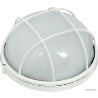 Уличный настенный светильник IEK НПП1102 LNPP0-1102-1-100-K01