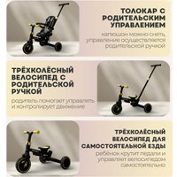 Детский велосипед Bubago Malanka BG 211-1 (черный)