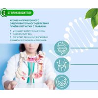 БАД Сибирская клетчатка Слабительная (170 г)