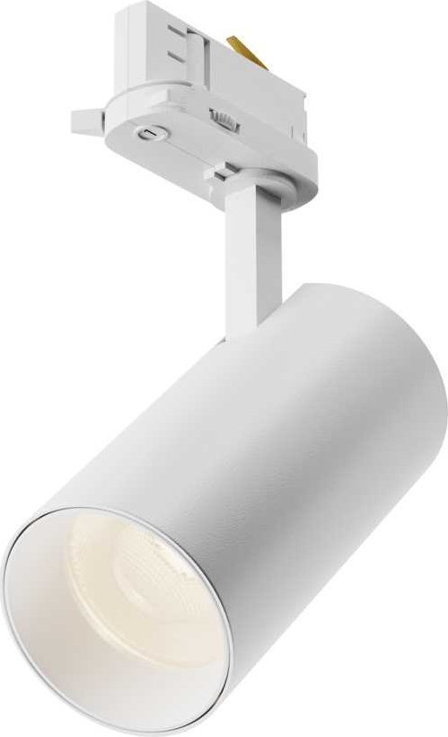 

Трековый светильник Maytoni Technical TR197-3-20WCCT-M-W