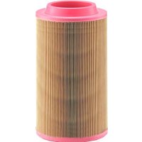 Воздушный фильтр MANN-filter C23610