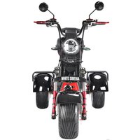 Электроскутер White Siberia CityCoco WS-Pro Trike 3000W 21Ah (с черными брызговиками)