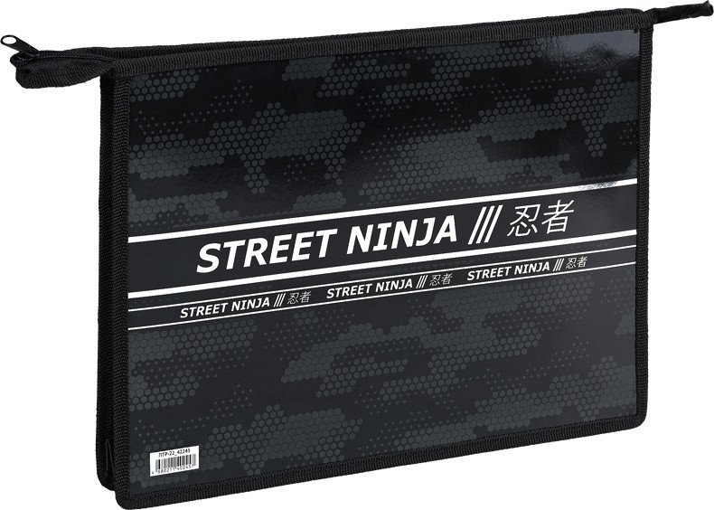 

Папка для тетрадей ArtSpace Ninja ПТР-22_42245