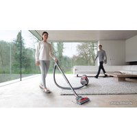 Пылесос Dyson Cinetic Big Ball AnimalPro 2