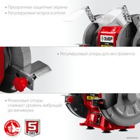 Заточный станок Зубр Мастер СТ-150 в Пинске