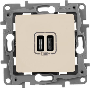 Розетка Type-C Legrand Etika 672335 (слоновая кость)