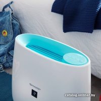 Очиститель воздуха Sharp FP-J30EU-A