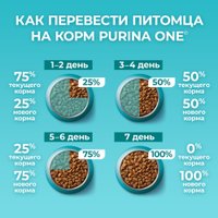 Сухой корм для кошек Purina ONE для домашних с курицей 750 г в Бресте