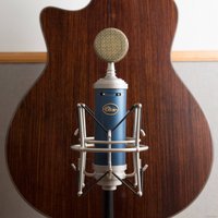 Проводной микрофон Blue Bluebird SL