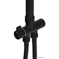 Душевая система  Wisent WP3500BL