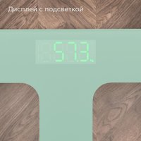 Напольные весы Redmond (Редмонд) SB1811 (зеленый)