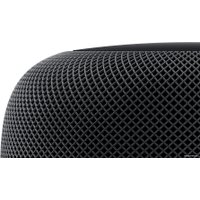 Умная колонка Apple HomePod (серый космос)