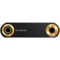 Hi-Fi плеер Sony NW-ZX300 64GB (черный)