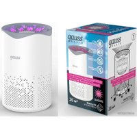 Очиститель воздуха Gauss Guard GR001