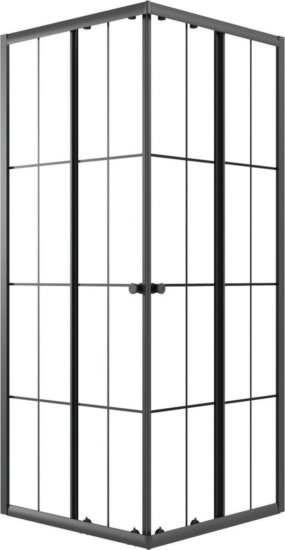 Душевой уголок Niagara Eco NG-1010-14QKL 100x100x190 (черный/стекло клетка)