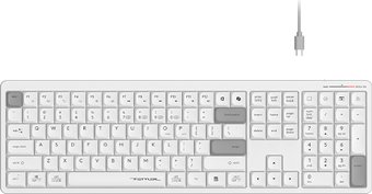 Клавиатура A4Tech Fstyler FBX55C (белый)