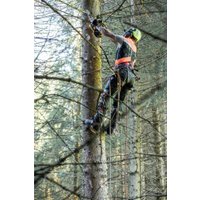 Аккумуляторная пила DeWalt DCMCST635X1 (с 1-им АКБ)