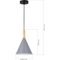 Подвесная люстра Evoluce SLE1255-423-01