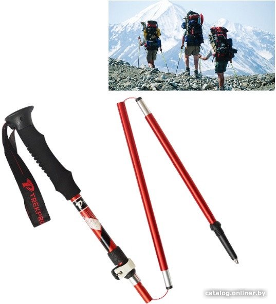 Треккинговые палки Coyote OG7356R (35 см, красный)