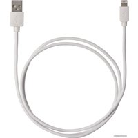 Кабель TDM Electric USB Type-A - Lightning SQ1810-0306 (1 м, белый)