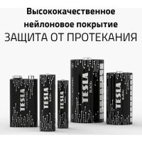 Батарейка Tesla Black+ LR03 2BP
