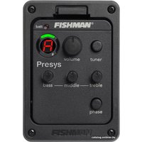 Электроакустическая гитара Cort GA5F-BW NS