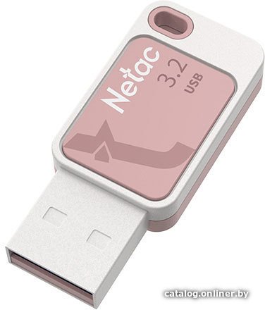 USB Flash Netac UA31 USB 3.2 256GB (розовый)