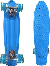 Penny Board 21