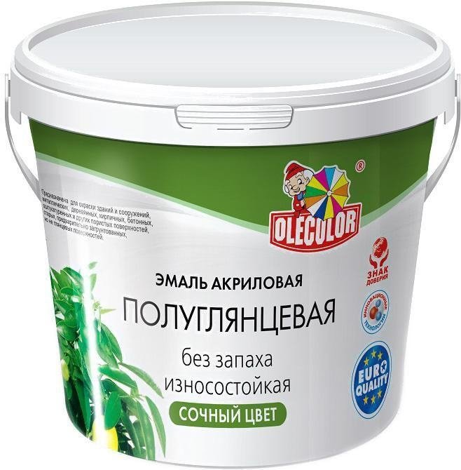 

Эмаль Olecolor Полуглянцевая 800 г (лазурное небо)