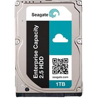 Жесткий диск Seagate Enterprise Capacity 1TB [ST1000NX0313]