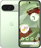 Pixel 9 12GB/256GB (винтергрин)