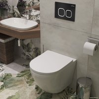 Инсталляция для унитаза Roxen StounFix Dual Fresh 828474