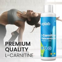 L-карнитин Vplab L-Carnitine Concentrate (тропические фрукты, 500 мл)