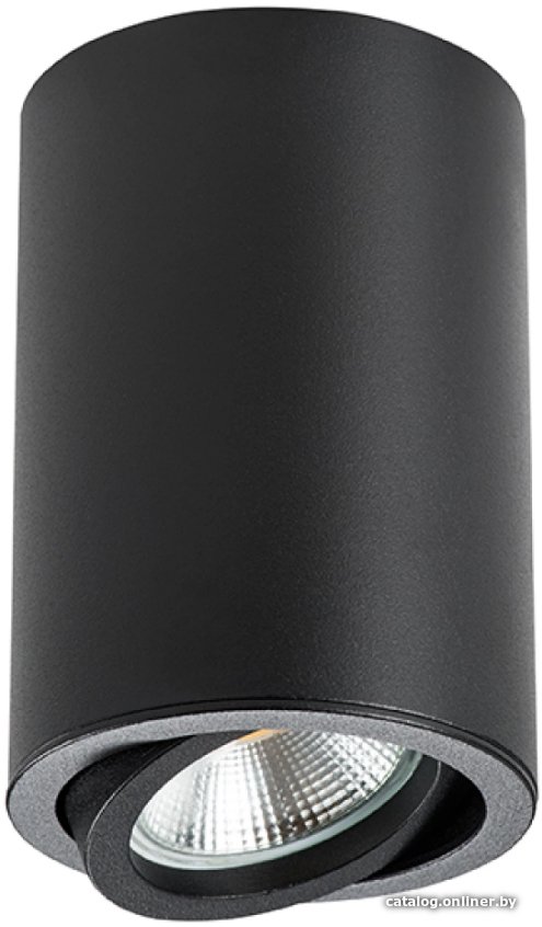 Спот Lightstar Rullo 214407