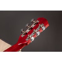 Акустическая гитара ROKSO FT-D38-N