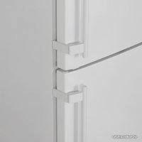 Холодильник Liebherr CBN 3956 Premium