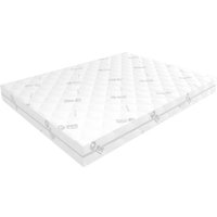 Матрас ЭОС Идеал 1а/2 160x200+Samsara Одуванчики Dark Евро 220-24 в Бобруйске