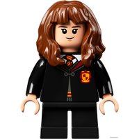 Конструктор LEGO Harry Potter 76387 Хогвартс: встреча с Пушистиком
