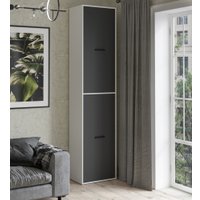 Шкаф распашной Интерлиния Skill-21 (2) (белый/антрацит)