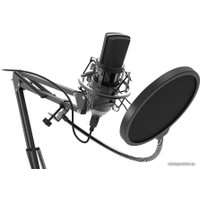 Проводной микрофон Ritmix RDM-169