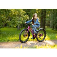 Велосипед Shulz Chloe 24 Race Plus 2024 (фуксия)