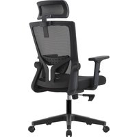 Офисное кресло Evolution ErgoLine 1 (черный)