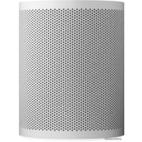 Беспроводная аудиосистема Bang & Olufsen Beoplay M3 (серый)