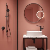 Смеситель Deante Arnika Nero BQA N20K