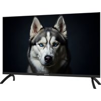 Телевизор Topdevice 32" WILDRED TDWC32BF2110V
