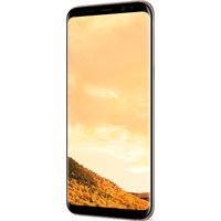 Смартфон Samsung Galaxy S8+ Dual SIM 64GB (желтый топаз) [G955FD]