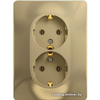 Розетка Schneider Electric Glossa GSL000424 (титан)