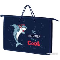 Папка-портфель Оникс Acoola ПТ-15
