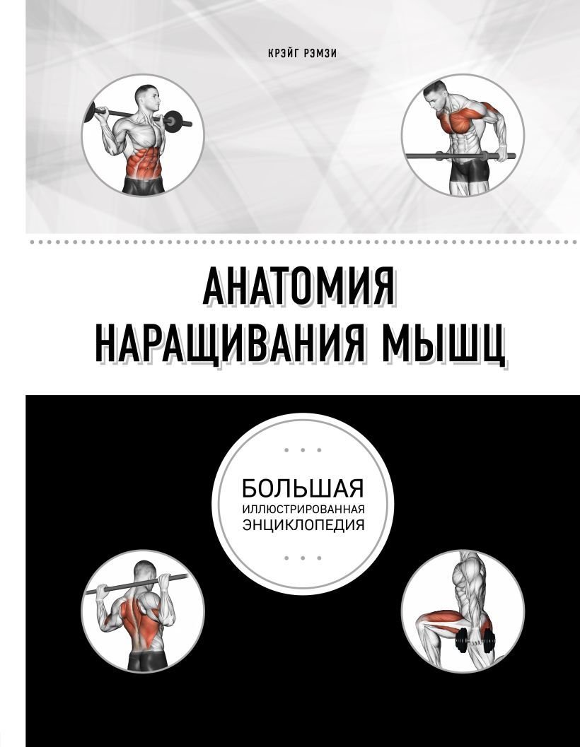 

Книга издательства Эксмо. Анатомия наращивания мышц (Рэмзи Крэйг)