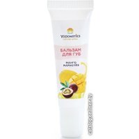  Yodometics Бальзам для губ манго и маракуйя 12 мл в Гродно